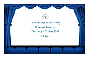 Y3 Tanzanite Showcase Assembly