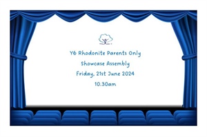 Assembly Showcase Y6 Rhodonite