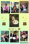 🧸🧸 Teddy Bear Picnic 🧸🧸