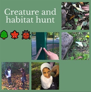 Creature & Habitat Hunt