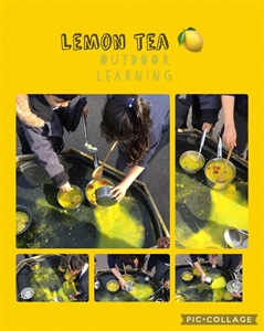 Lemon Tea Outdoor Learning